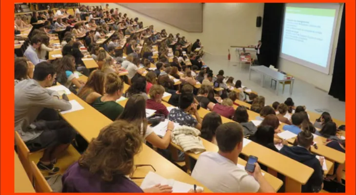 مراجعة التخصصات المرتبطة بسلك الإجازة خلال الدخول الجامعي المقبل