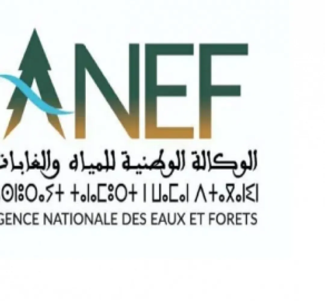 إطلاق النسخة الثانية من مسابقة "Green Start up" من اجل دعم المشاريع الخضراء
