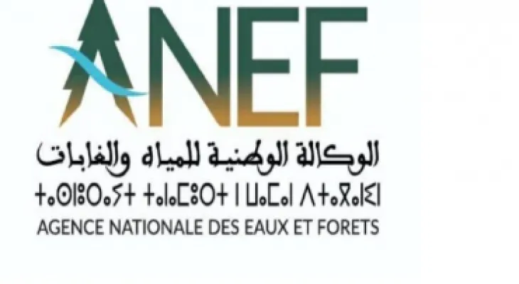 إطلاق النسخة الثانية من مسابقة "Green Start up" من اجل دعم المشاريع الخضراء