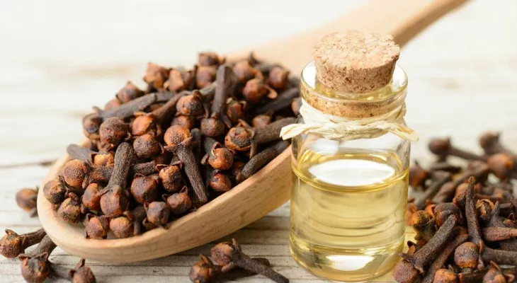 ملف حول القرنفل (Syzygium aromaticum) واسراره الطبية الهائلة التي لا تنتهي..