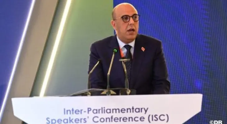 السيد ولد الرشيد يبرز بإسلام آباد جهود المغرب بقيادة جلالة الملك في مجال تعزيز السلم والأمن والتنمية