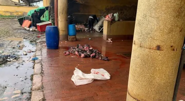 فاس.. "مجزرة عين قادوس" كارثة تهدد صحة المواطنين، و تلطخ سمعة المدينة