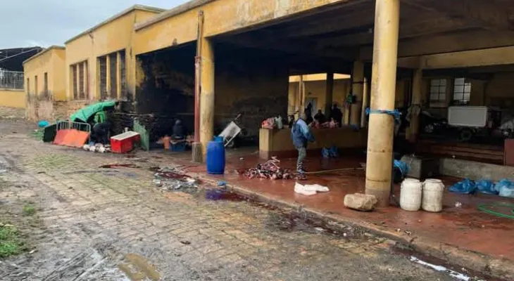 فاس "فيديوهات مجزرة عين قادوس" تطيح بمدير المجزرة الجماعية. و لكنها لم تحرك بعد بحثا حول تربية الكلاب داخل المجزرة