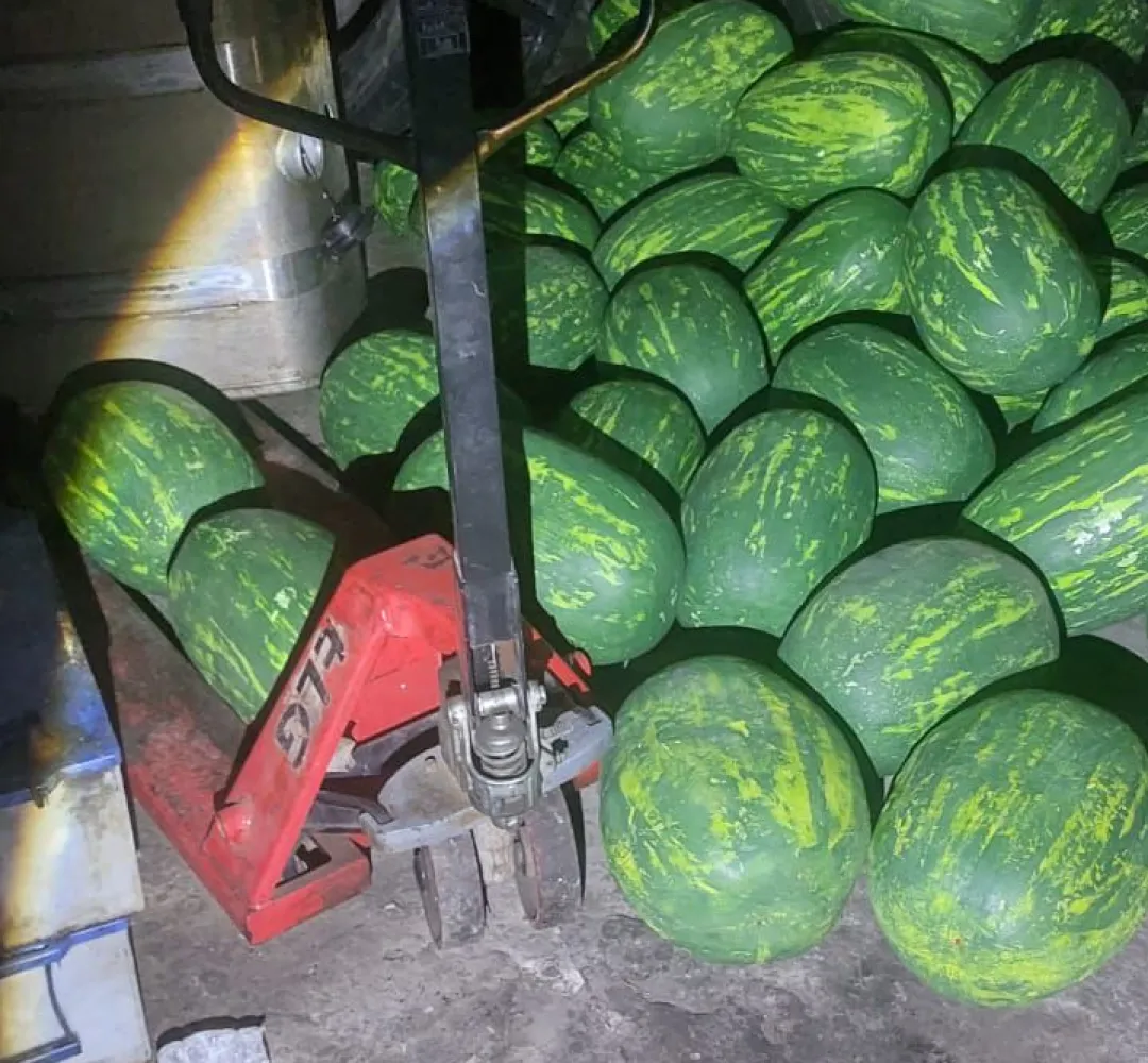 حجز 700 كيلوغرام من مخدر الشيرا وتوقيف أربعة أشخاص