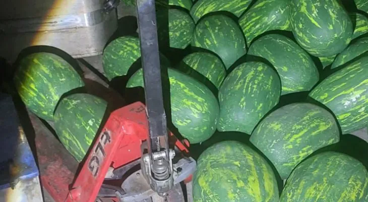 حجز 700 كيلوغرام من مخدر الشيرا وتوقيف أربعة أشخاص