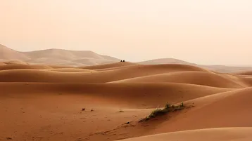 الولايات المتحدة تقدم النسخة المنقحة لمشروع القرار الأممي حول الصحراء مع تكريس الحكم الذاتي