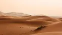 الولايات المتحدة تقدم النسخة المنقحة لمشروع القرار الأممي حول الصحراء مع تكريس الحكم الذاتي